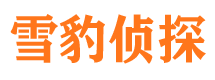 武冈外遇出轨调查取证